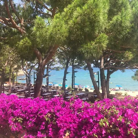 Centro Lloret Para 6 *